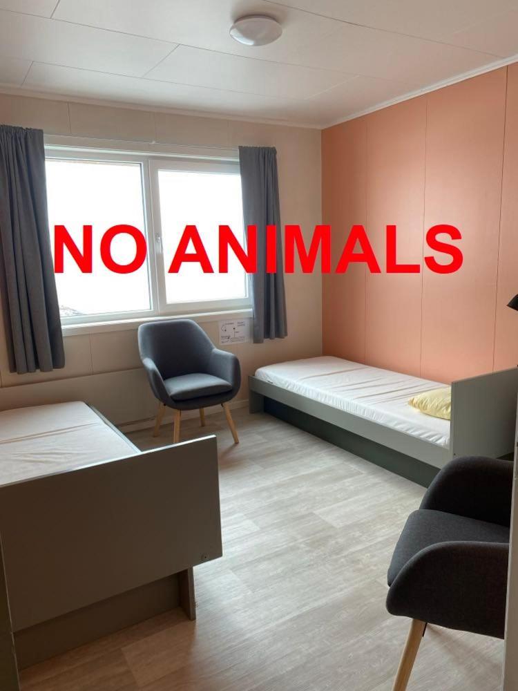 Repvag Overnatting Nordkapp Chambre photo