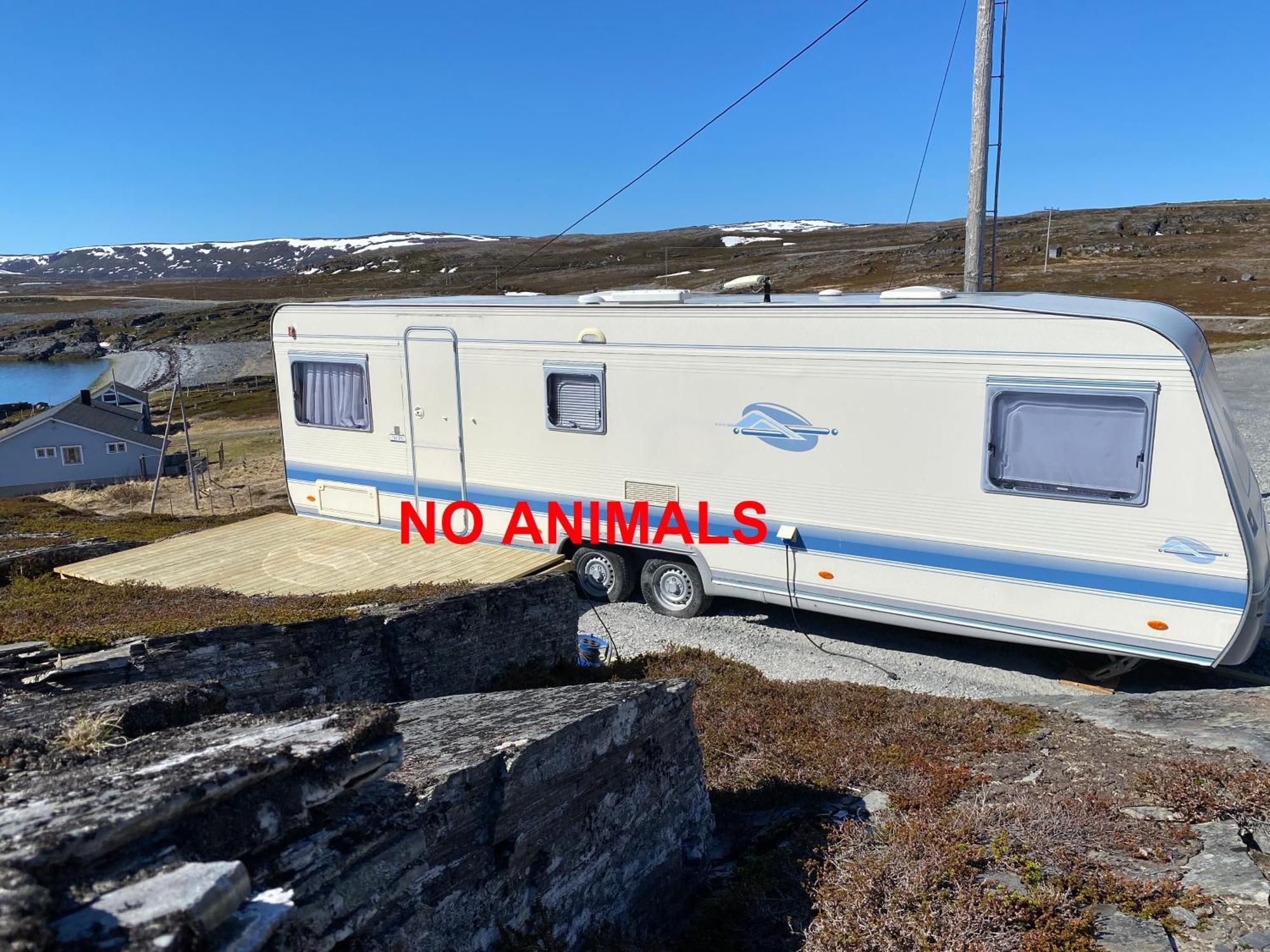 Repvag Overnatting Nordkapp Chambre photo